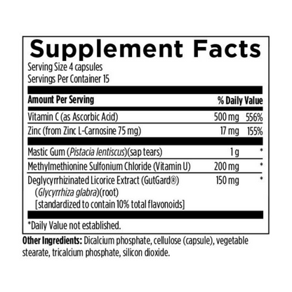 GastroMend-HP