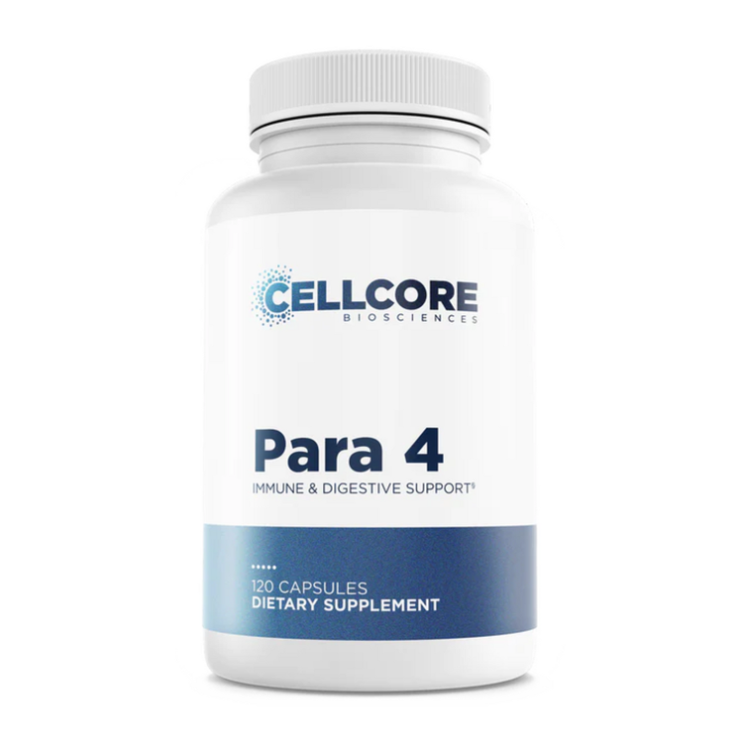 Para 4